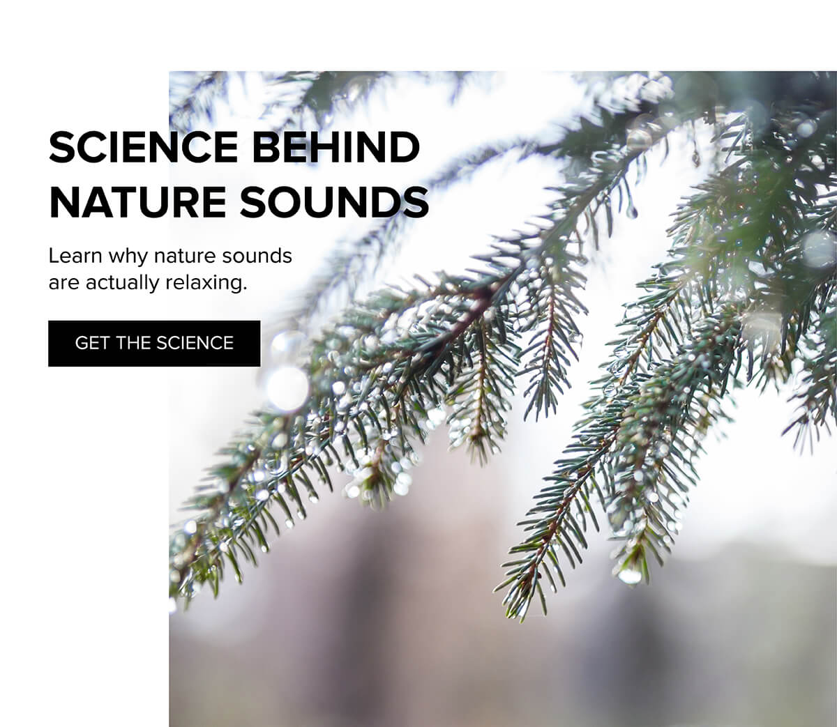 Science behind nature sounds