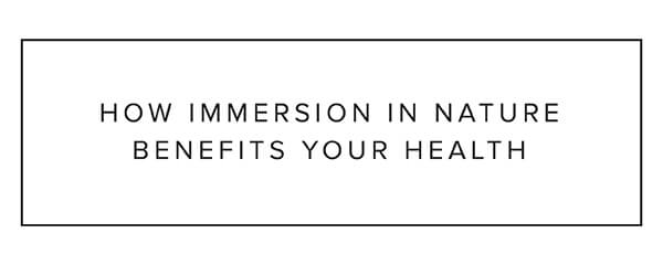 How immersion in nature benefits your health